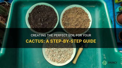 How to Make Cactus Soil: Essential Tips for the Perfect Desert Mix.